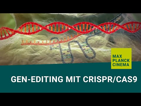 Gen-editing mit CRISPR/Cas9 (english subtitles)
