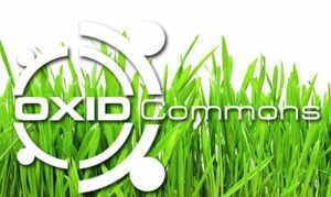 Oxid Commons – Community Day
