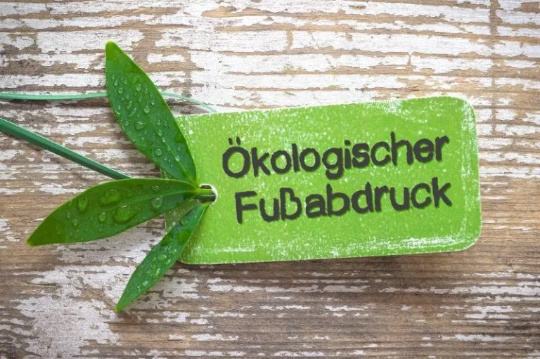 GreenTech - GreenTech Deutschland 2025: Zwischen Boom-Ende und industrieller Neuausrichtung