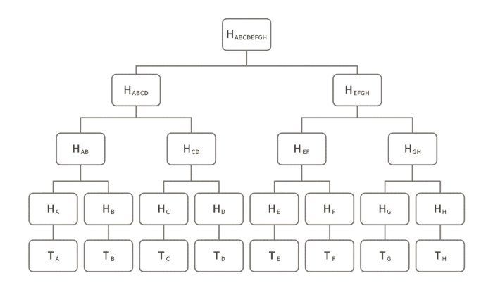 Eine einfache Darstellung des Aufbaus von einem Hash-Baum.