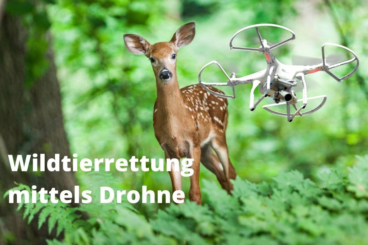 Wildtierrettung mittels Drohne