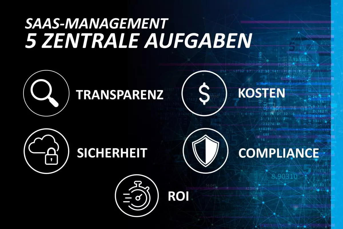 Flexera SaaS 5 Aufgaben