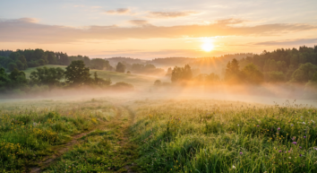 Guten Morgen Sprüche WhatsApp