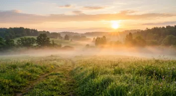 Guten Morgen Sprüche WhatsApp