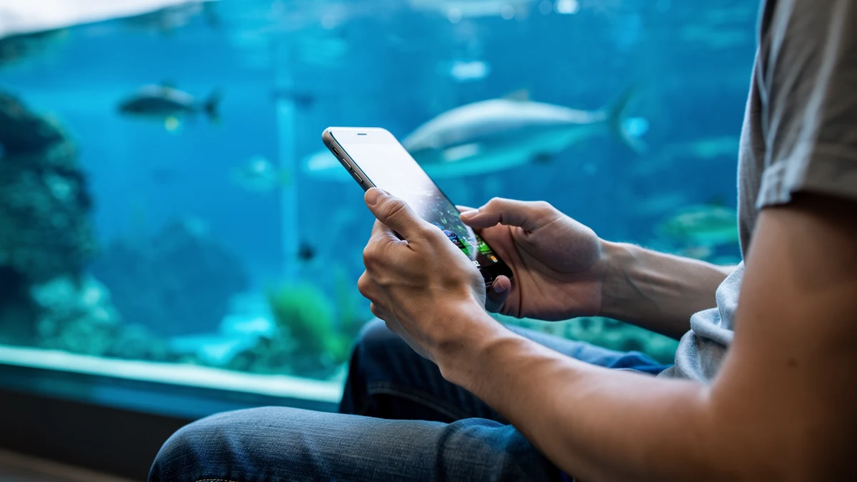 Eine Person prüft eine Spiele-Wunschliste auf dem Smartphone.