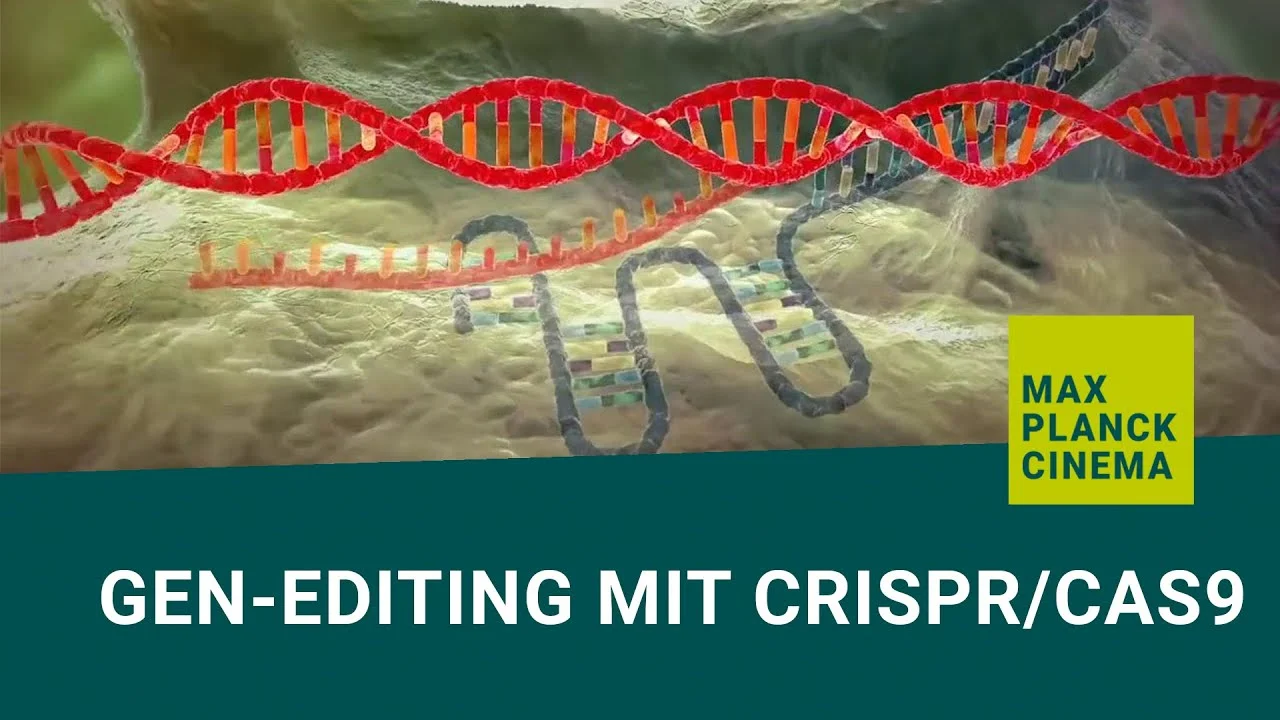 CRISPR-Cas9 - Genome Editing: CRISPR-Cas9 - die Zukunft der menschlichen Evolution?
