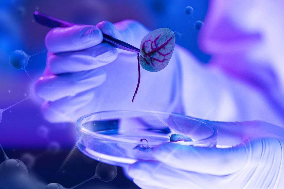 Nanotechnologie-titelbild