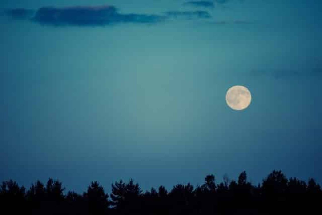 amazon-liefert-zum-Mond