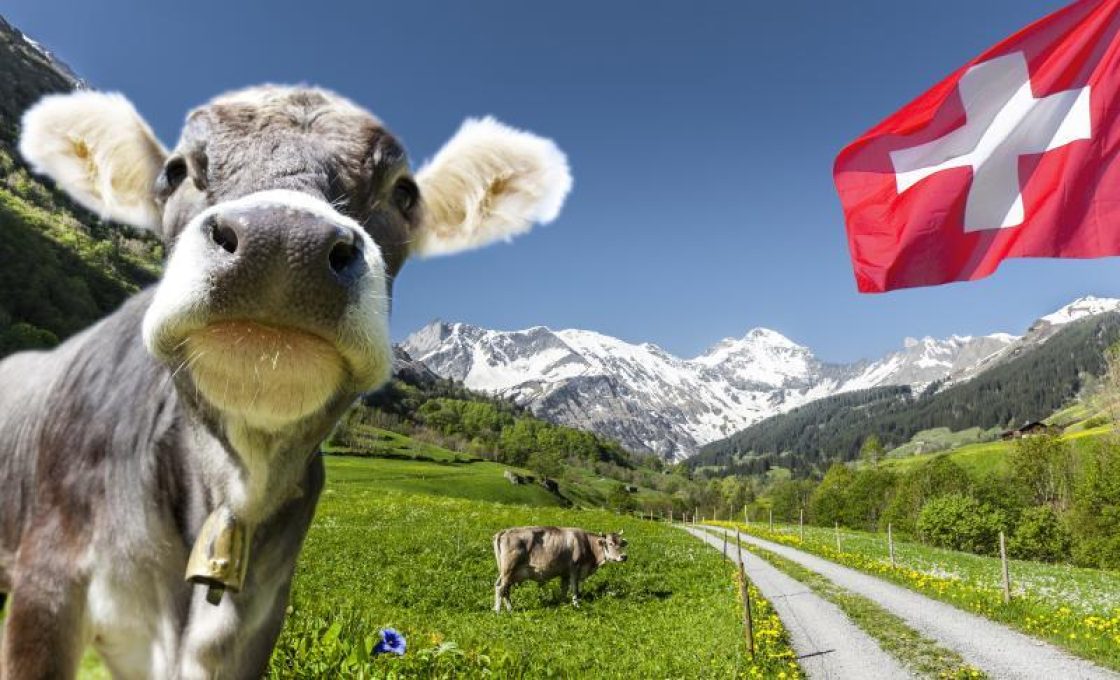 digitale-transformation-schweiz